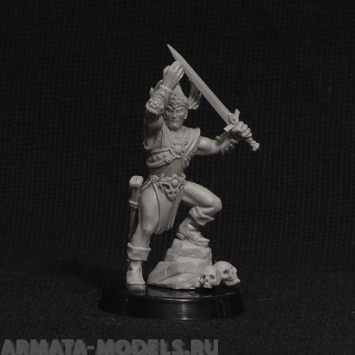 barb barbarian king BROTHER VINNI's