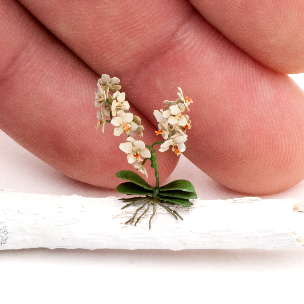 S175MWP Орхидея, размер M