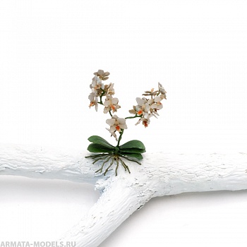 S175MWP Орхидея, размер M